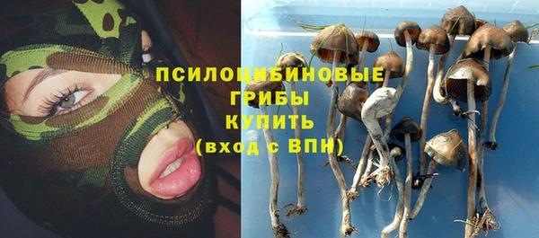 не бодяженный Зеленодольск