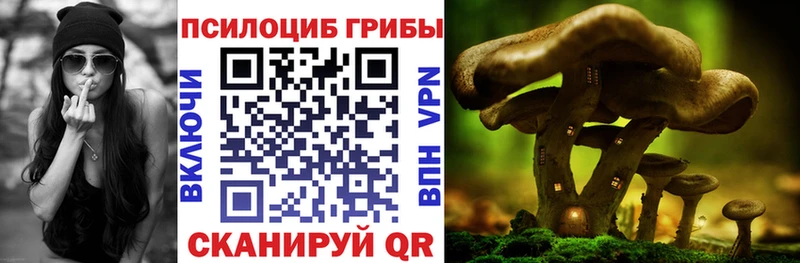 Псилоцибиновые грибы Magic Shrooms  Купить закладки  Калач-на-Дону 